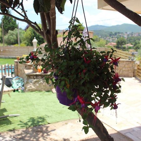 Apartament Vall De Montserrat Castellbell i Vilar Exterior photo